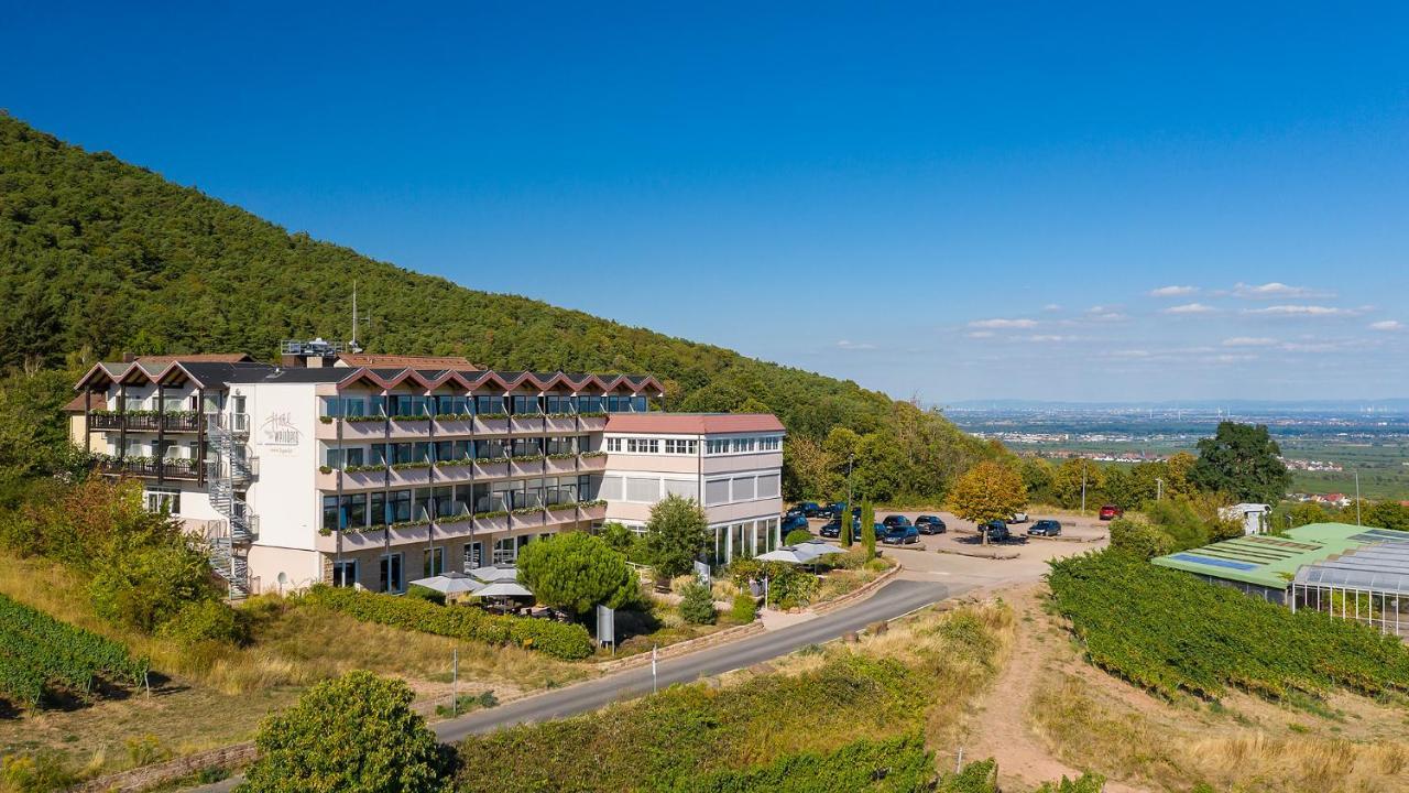 Arens Hotel 327Mnn 圣马丁 外观 照片